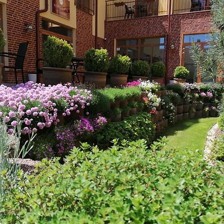 Jolan Pension & Restaurant Cicov المظهر الخارجي الصورة
