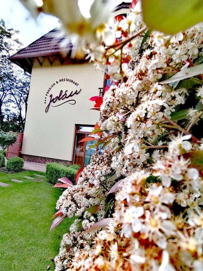 Jolan Pension & Restaurant Cicov المظهر الخارجي الصورة