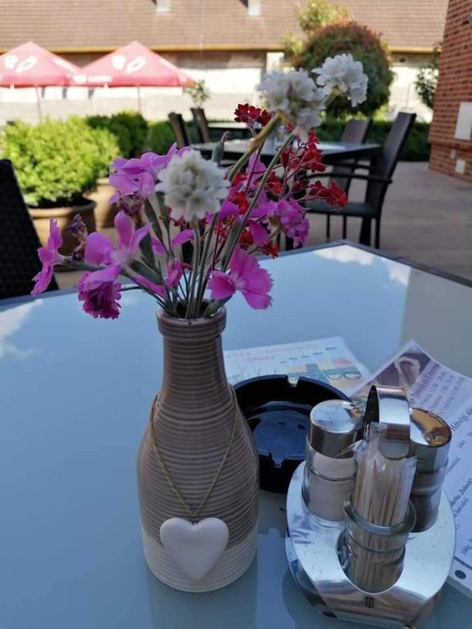 Jolan Pension & Restaurant Cicov المظهر الخارجي الصورة