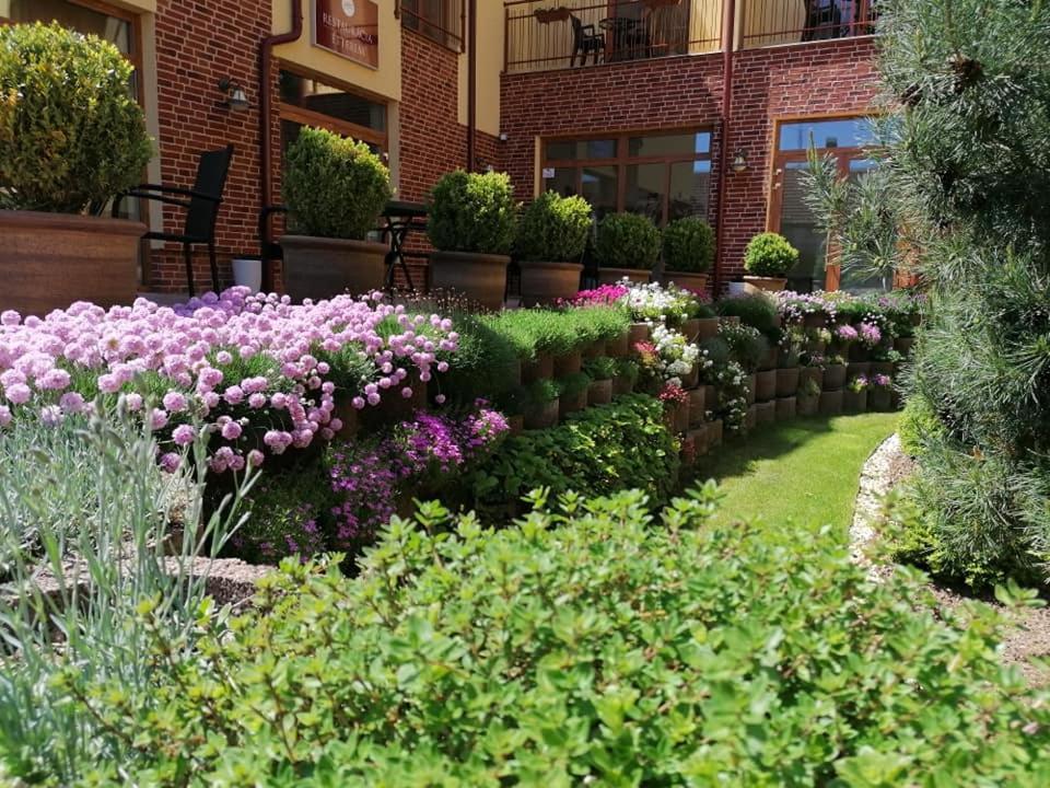 Jolan Pension & Restaurant Cicov المظهر الخارجي الصورة